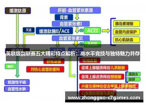 英联级别联赛五大精彩特点解析:高水平竞技与独特魅力并存 英联级别联赛五大精彩特点解析:高水平竞技与独特魅力并存