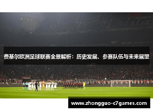 费基尔欧洲足球联赛全景解析：历史发展、参赛队伍与未来展望
