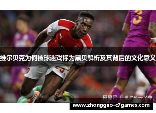维尔贝克为何被球迷戏称为黑贝解析及其背后的文化意义 维尔贝克为何被球迷戏称为黑贝解析及其背后的文化意义